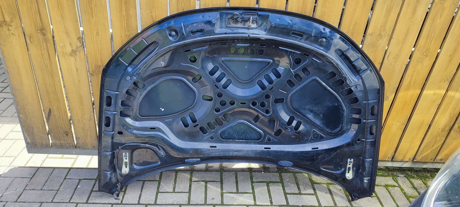 motorhaube VW EOS L041