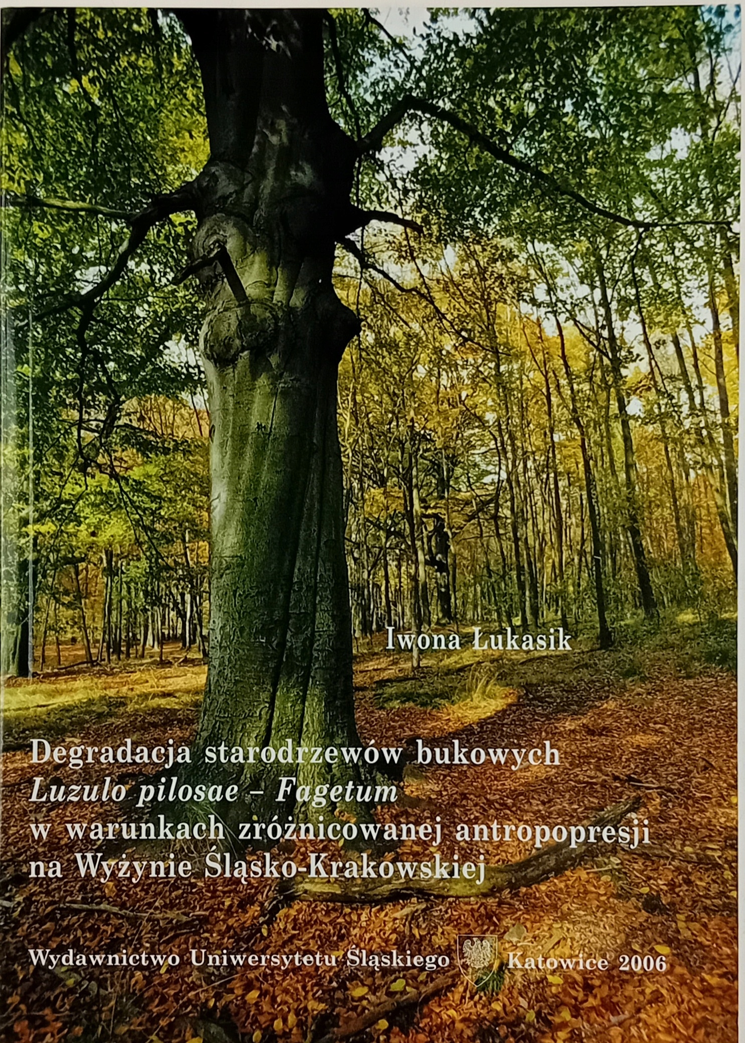DEGRADACJA STARODRZEWÓW BUKOWYCH IWONA ŁUKASIK
