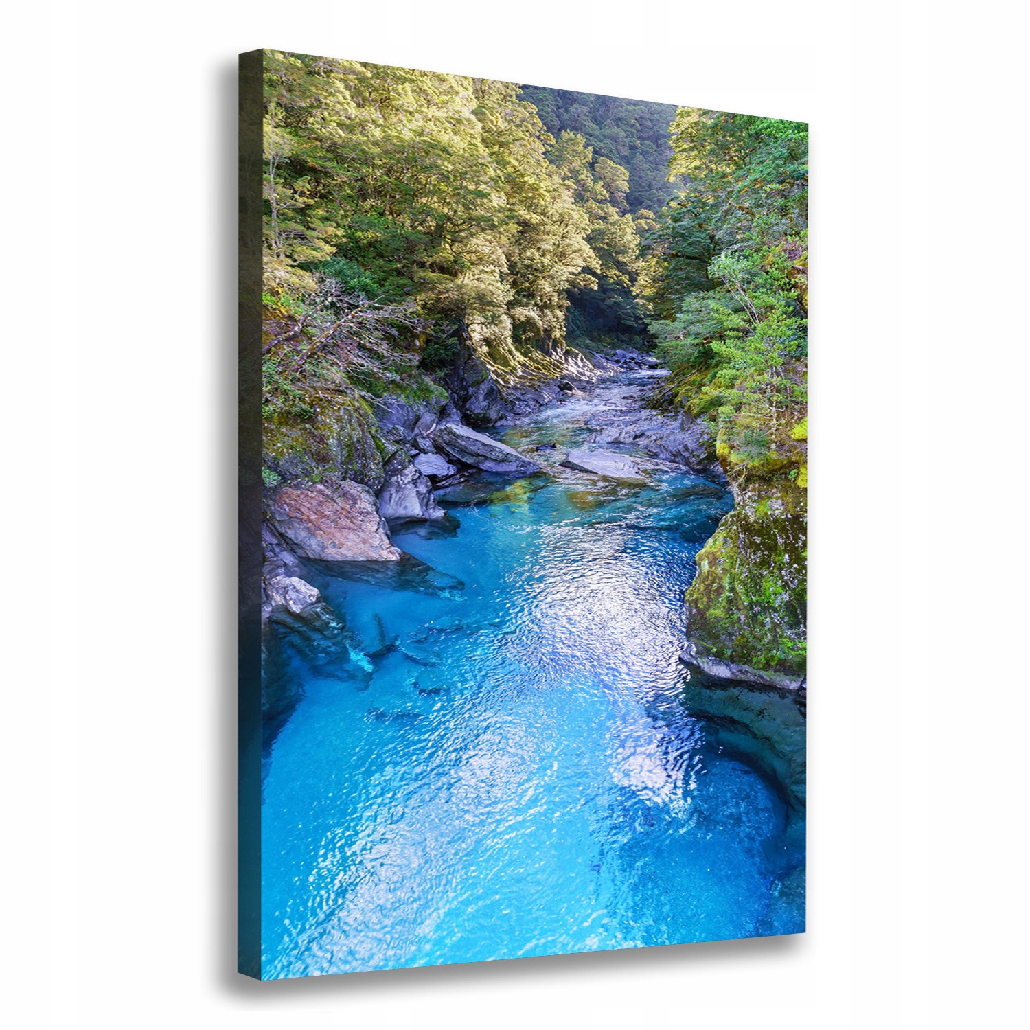 

Foto obraz canvas na ramie Rzeka w lesie 70x100 cm
