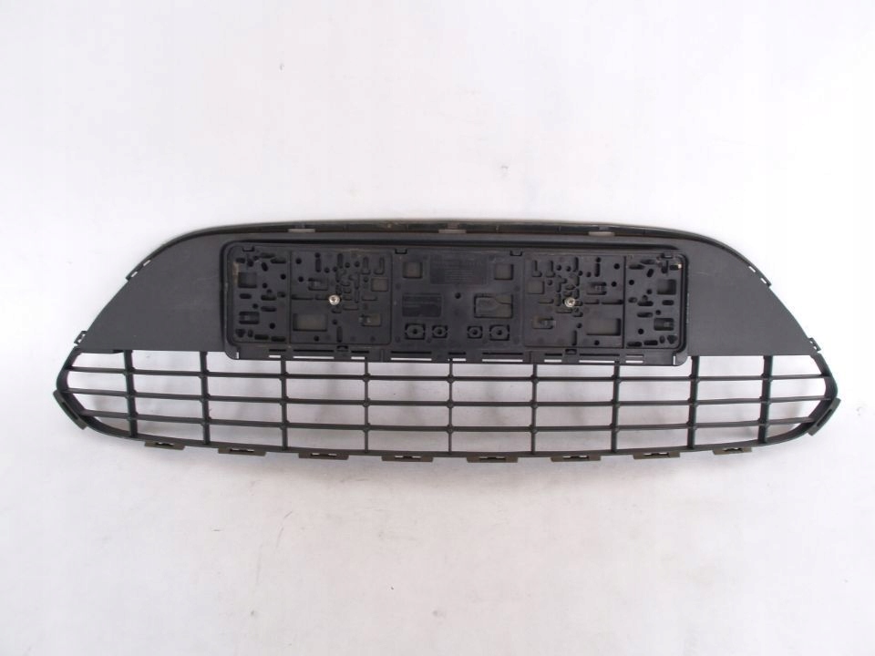 Ford Focus 2 grille 07-10r Titanium FL Lift