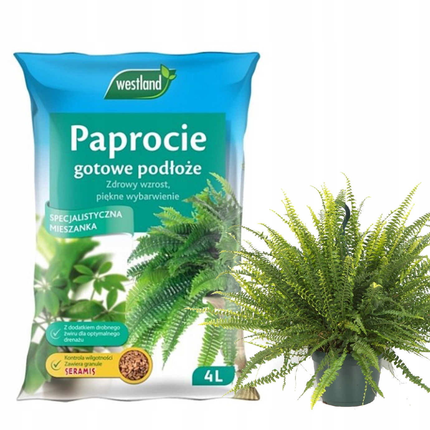 

Podłoże z Seramis do Paproci 4 L Westland