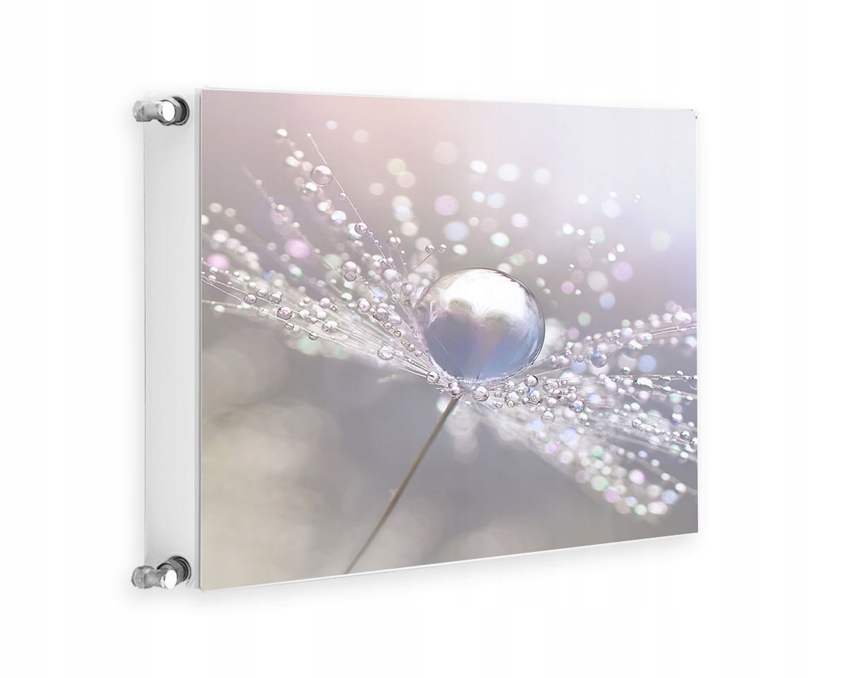 Magnetická Krytka Na Radiátor 60x60 Květiny Fototapeta