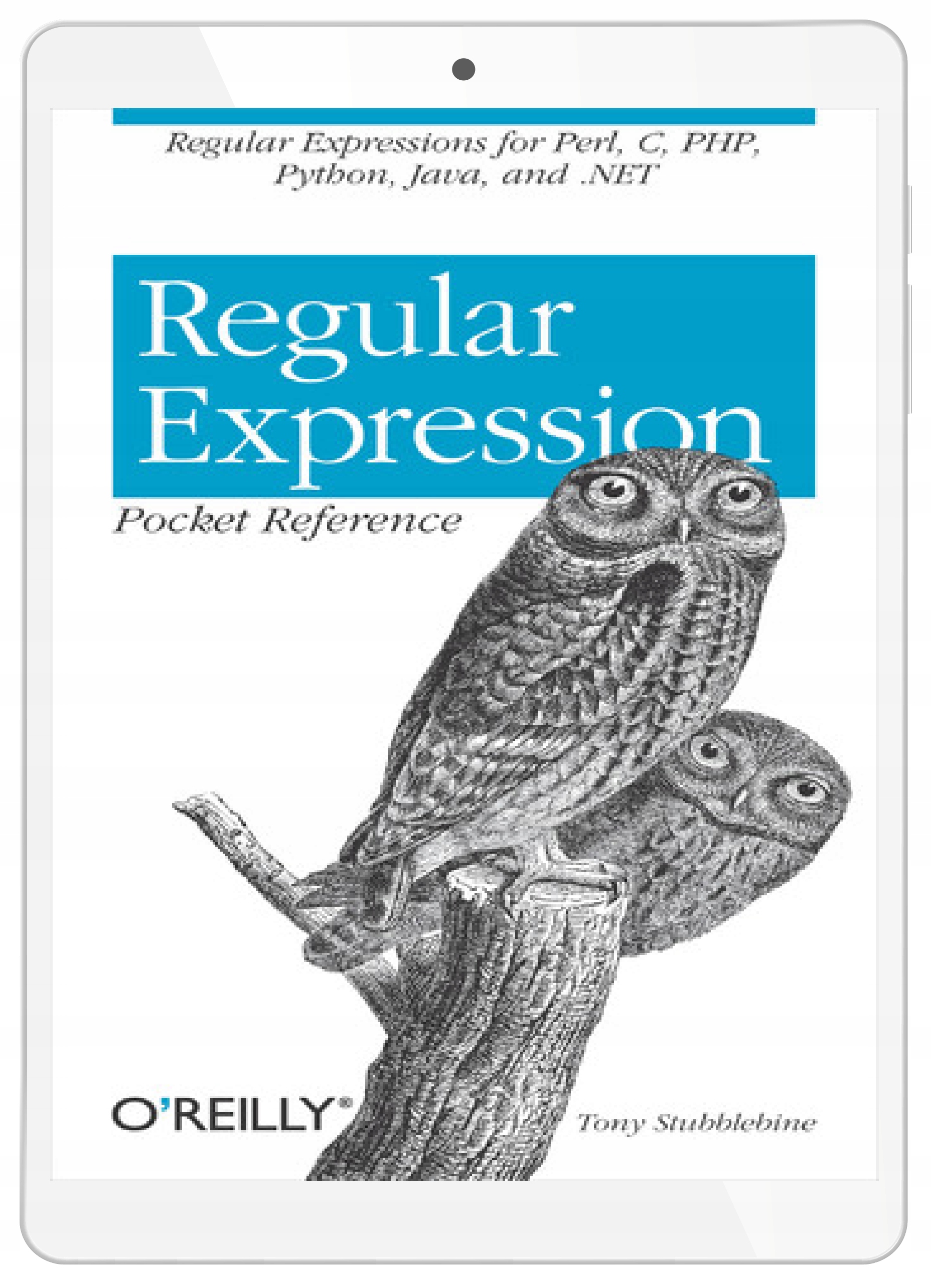 Regular Expression Pocket Reference