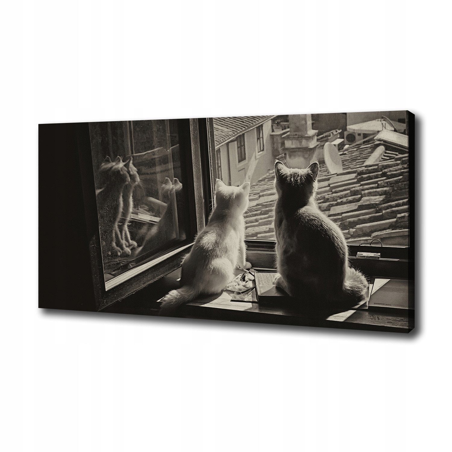 Obraz na plátně foto Kočky u okna 120x60 cm