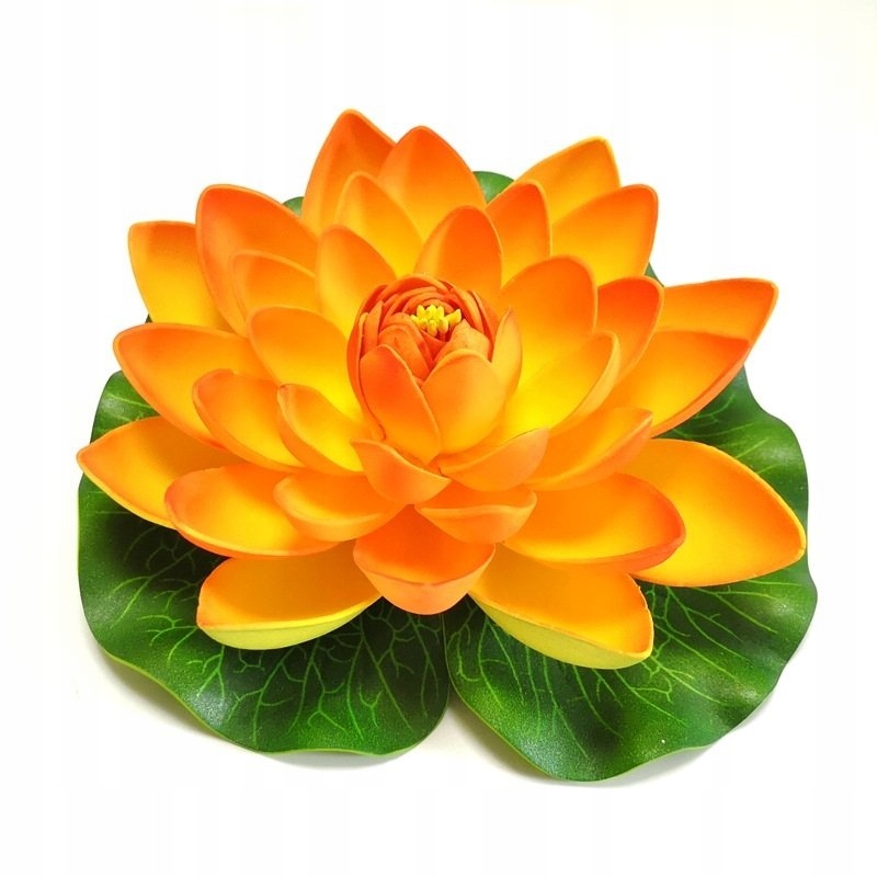 Deep Aqua Lilia do Oczka Wodnego Pomarańczowa 28cm