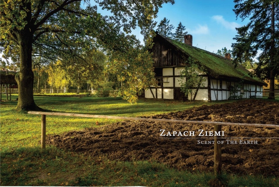 KASZUBY. KRAINA CZTERECH ŻYWIOŁÓW. ALBUM Robert Sikora wer. Pol/Ang Autor Robert Sikora