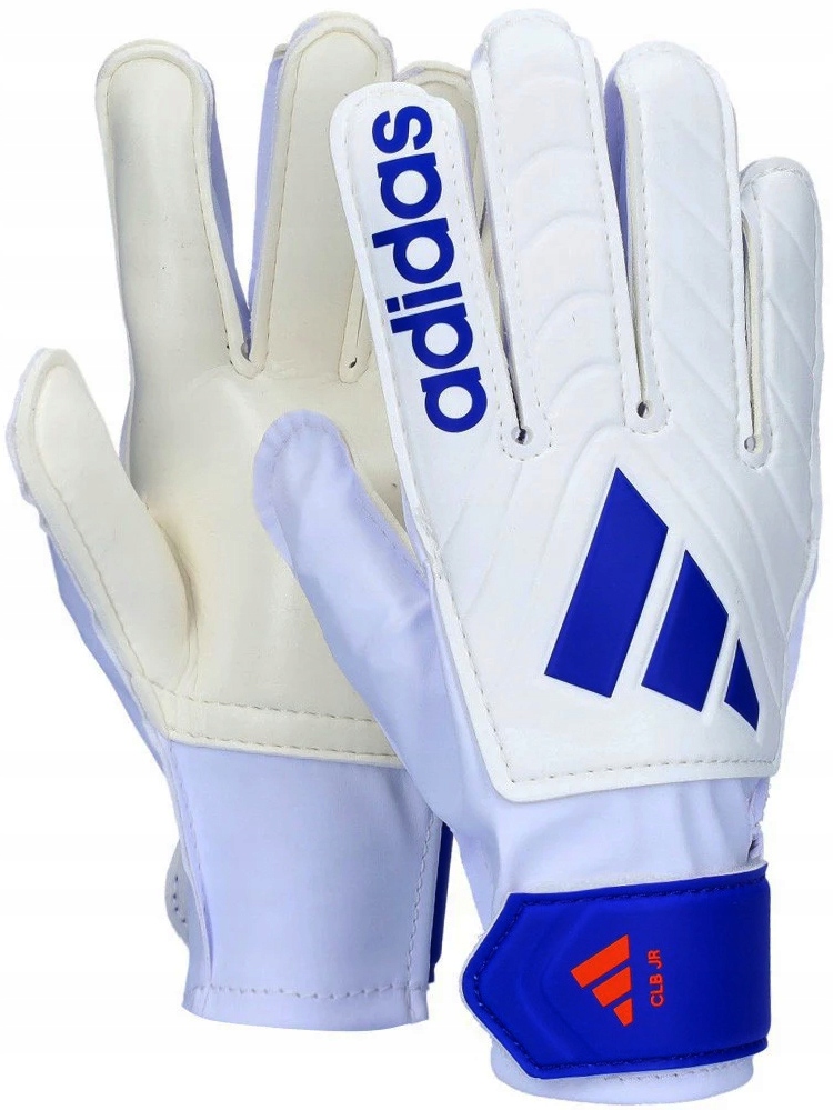 b508f2d44a098d35a465a88b61de