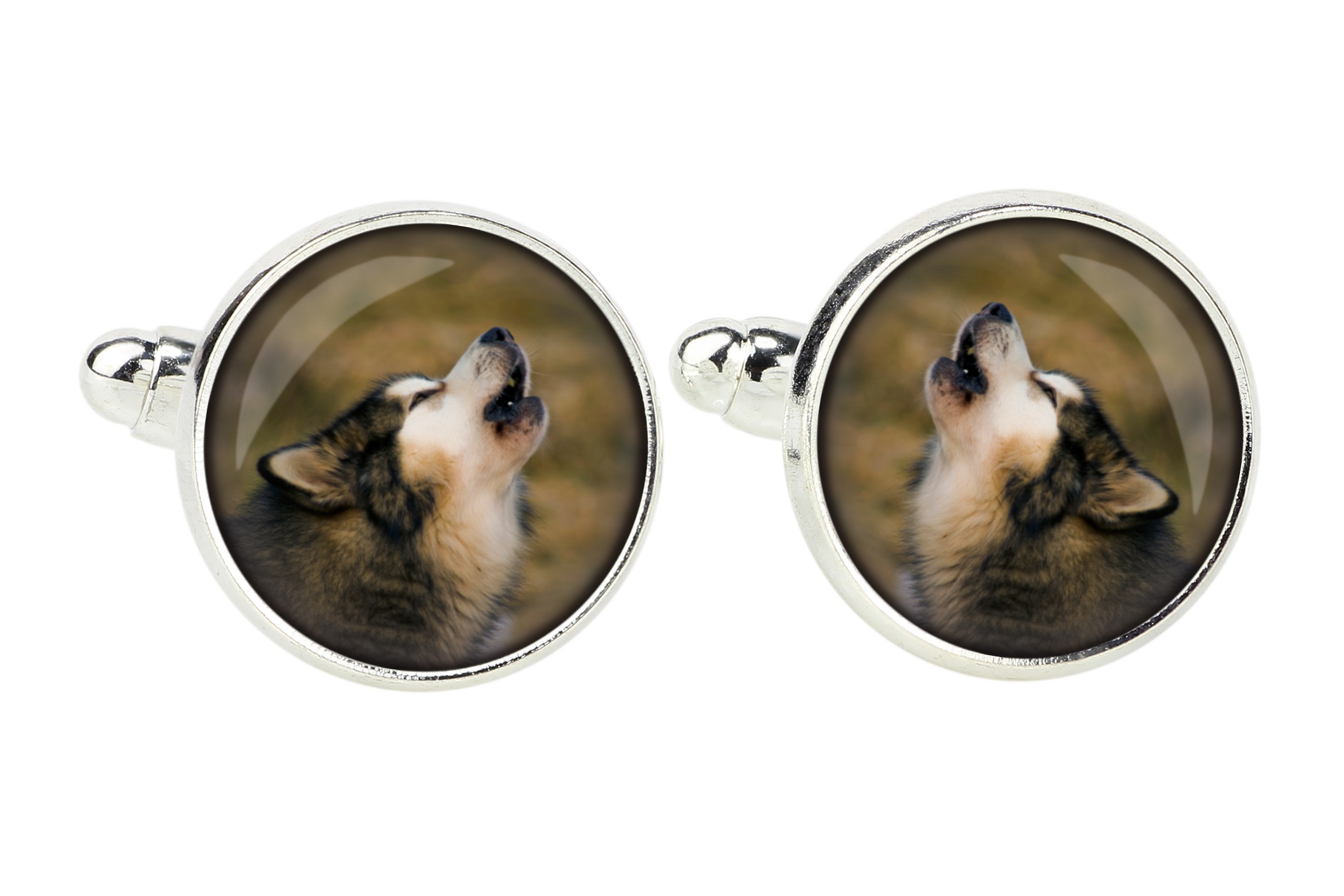 

Alaskan Malamutee Spinki do mankietów Twoje zdjęci