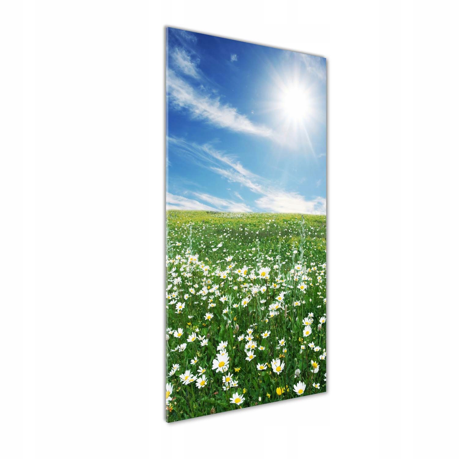 Moderní obraz na akrylu Louka 50x125 cm