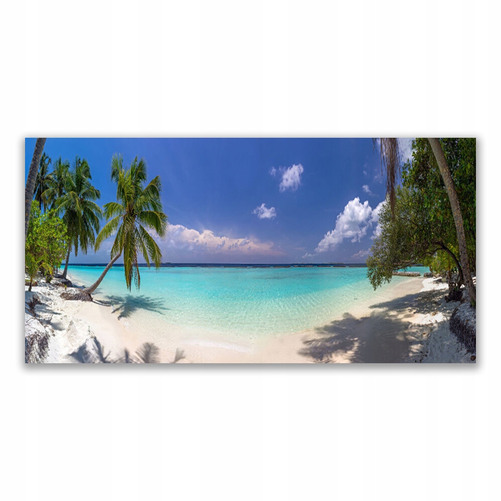 

Obraz wiszący 120x60 Morze Plaża Palma Krajobraz