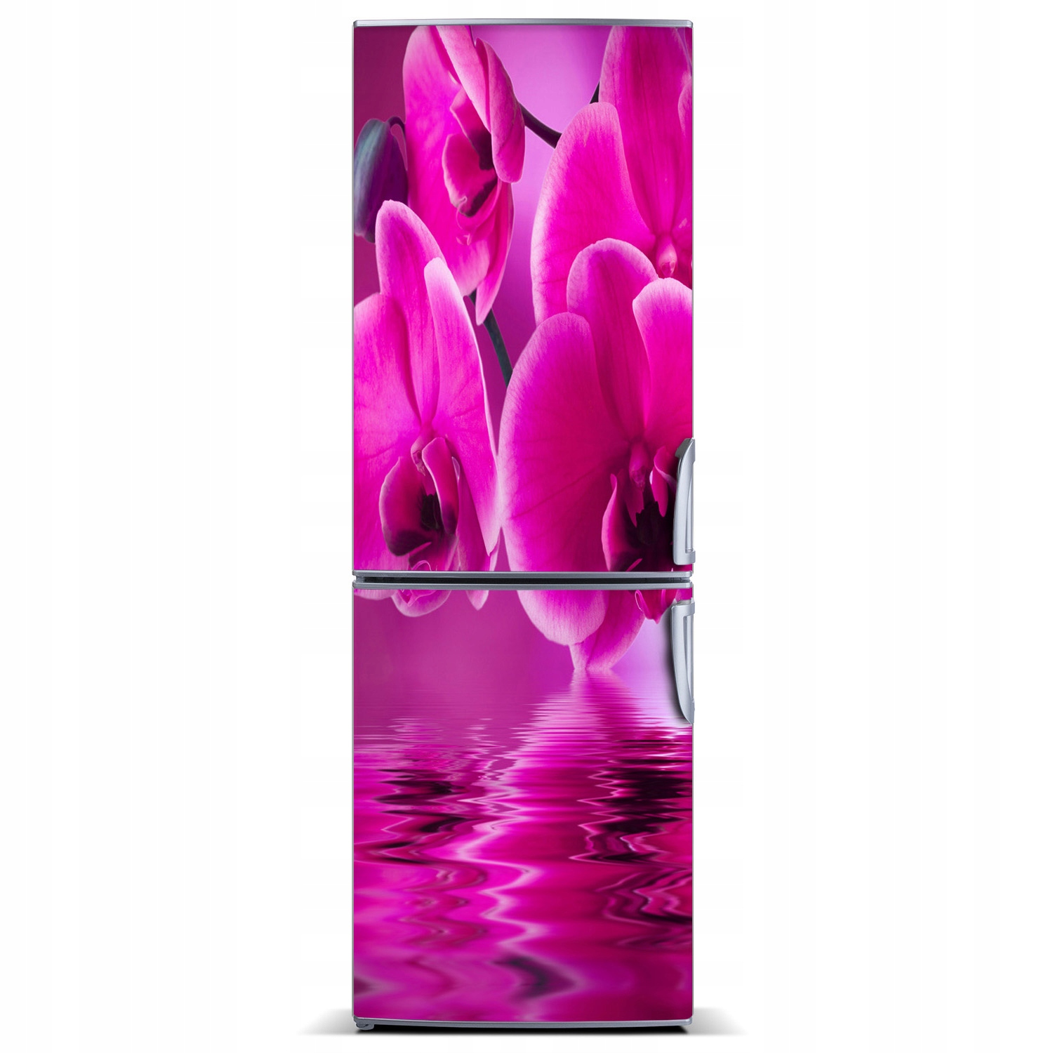 

Naklejka Magnes Magnes Różowa orchidea 60x180