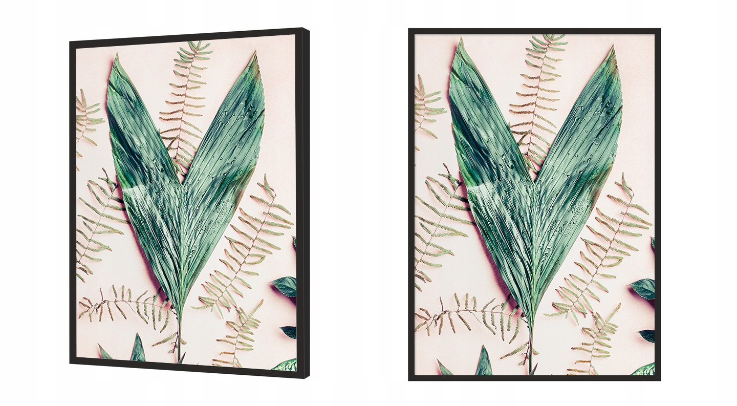 OBRAZ PLAKAT W RAMIE 33x43 cm Liść P780 Tematyka rośliny