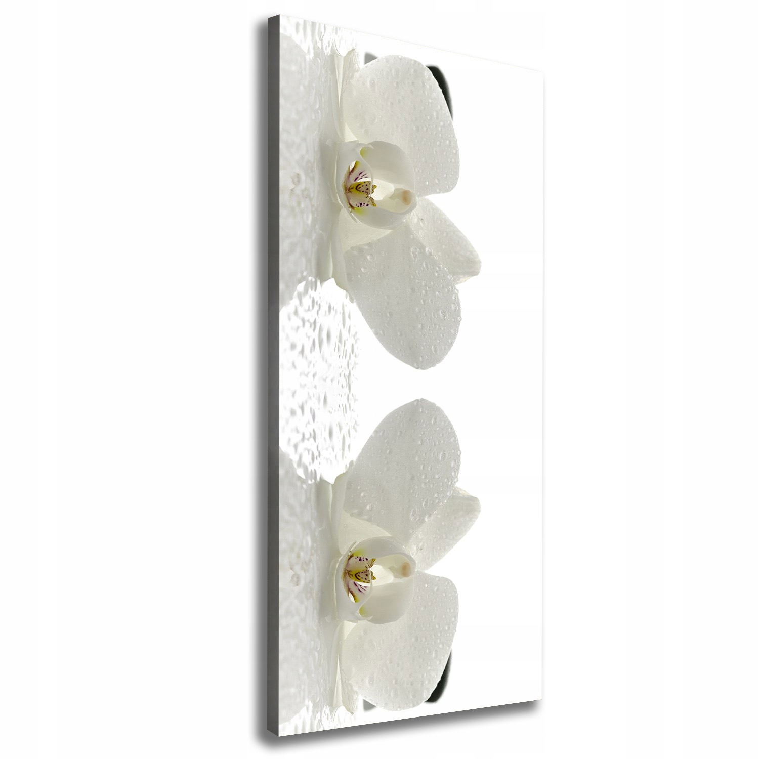 

Foto obraz na płótnie Orchidea i kamienie 50x125cm