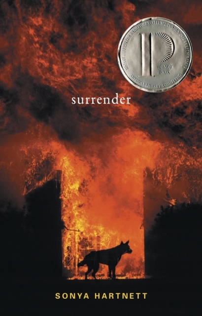 Surrender - Hartnett, Sonya EBOOK Nośnik ebook