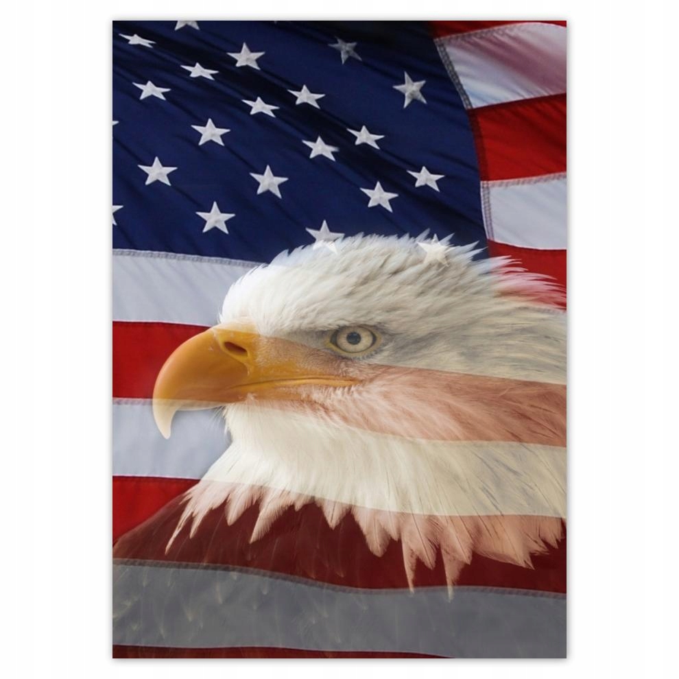 

Naklejki 50x70 Freedom from Usa