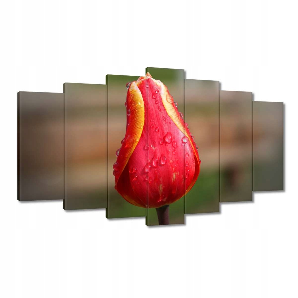 Obrazy 140x80 Červeno-žlutý tulipán