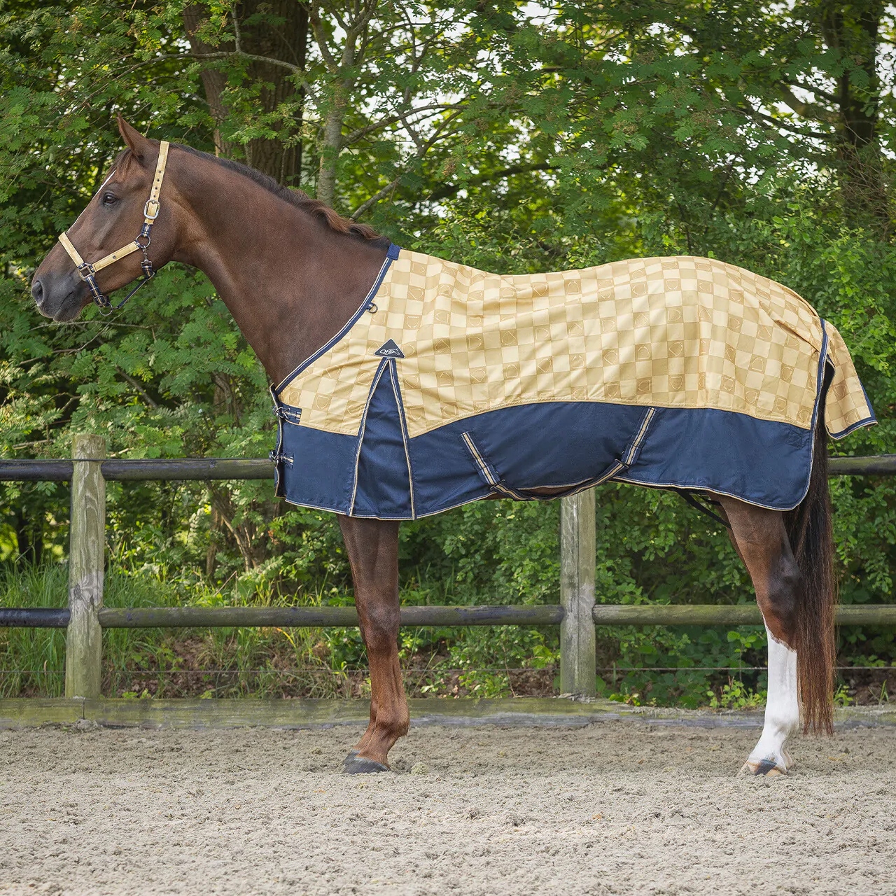 Deka pro koně Proti Dešti Qhp Collection 25SS žlutá 135