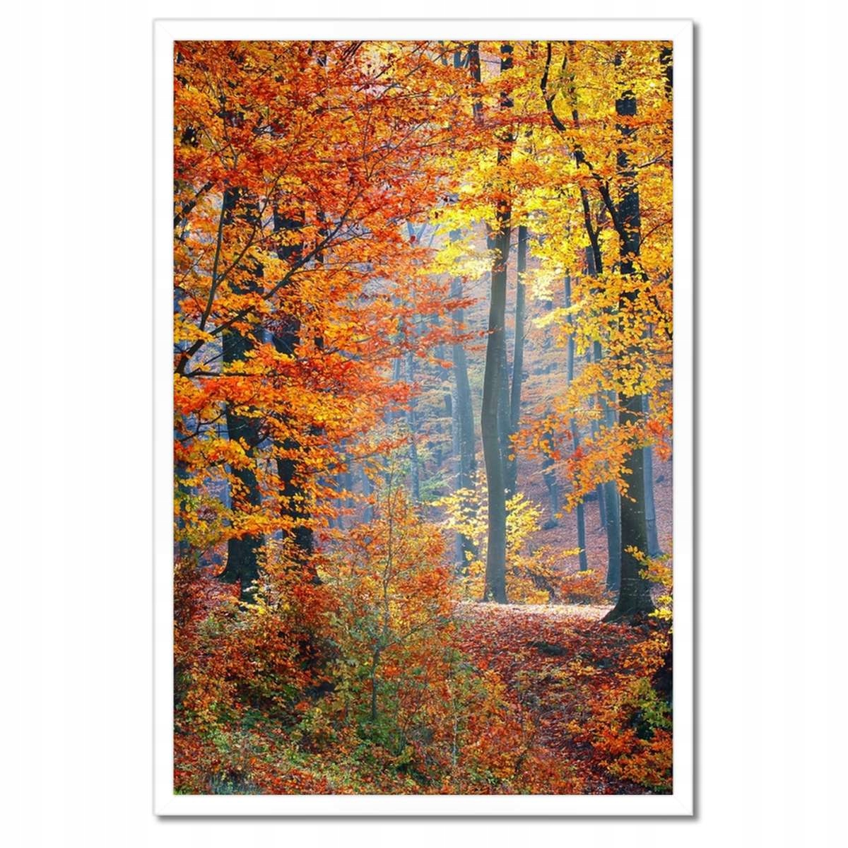 Plakáty v rámu 40x60 Zlatý podzim