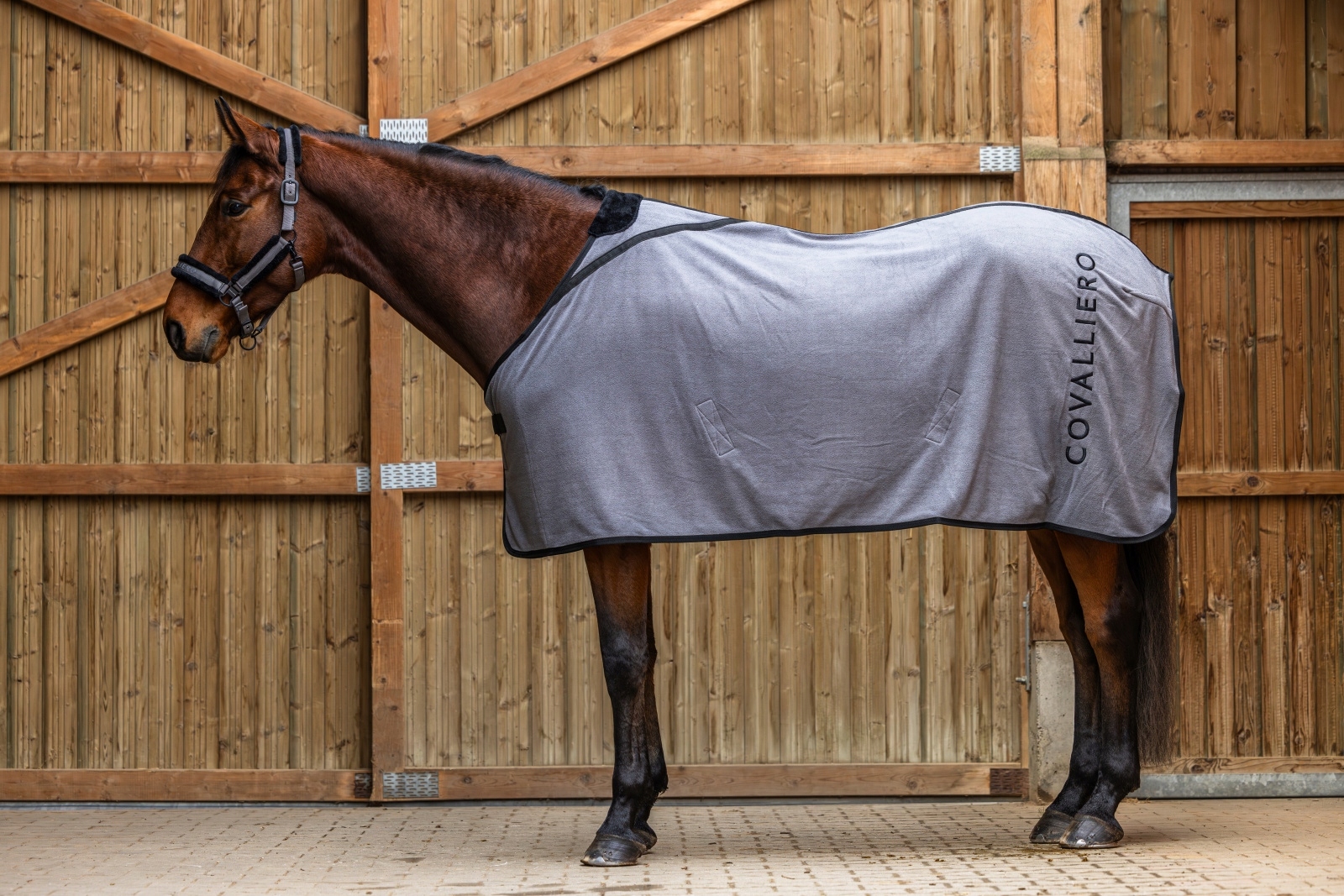 Covalliero, Derka polarowa A/W25 135 szary