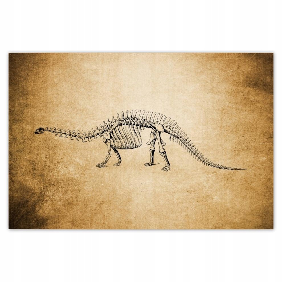 

Plakaty 60x40 Dinozaur Prehistoria Dino