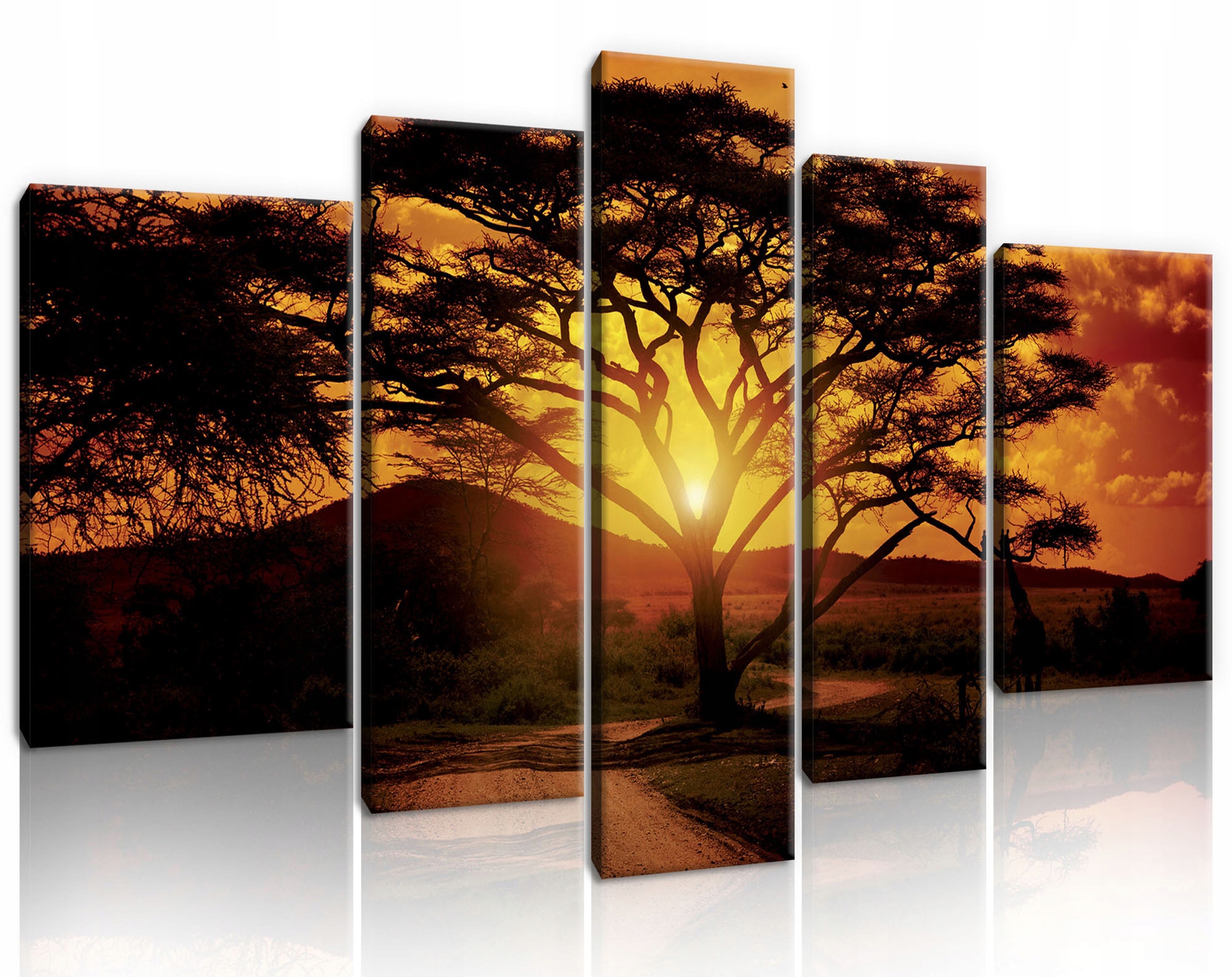 Obraz Na Plátně Canvas 170x100 Afrika Savanna