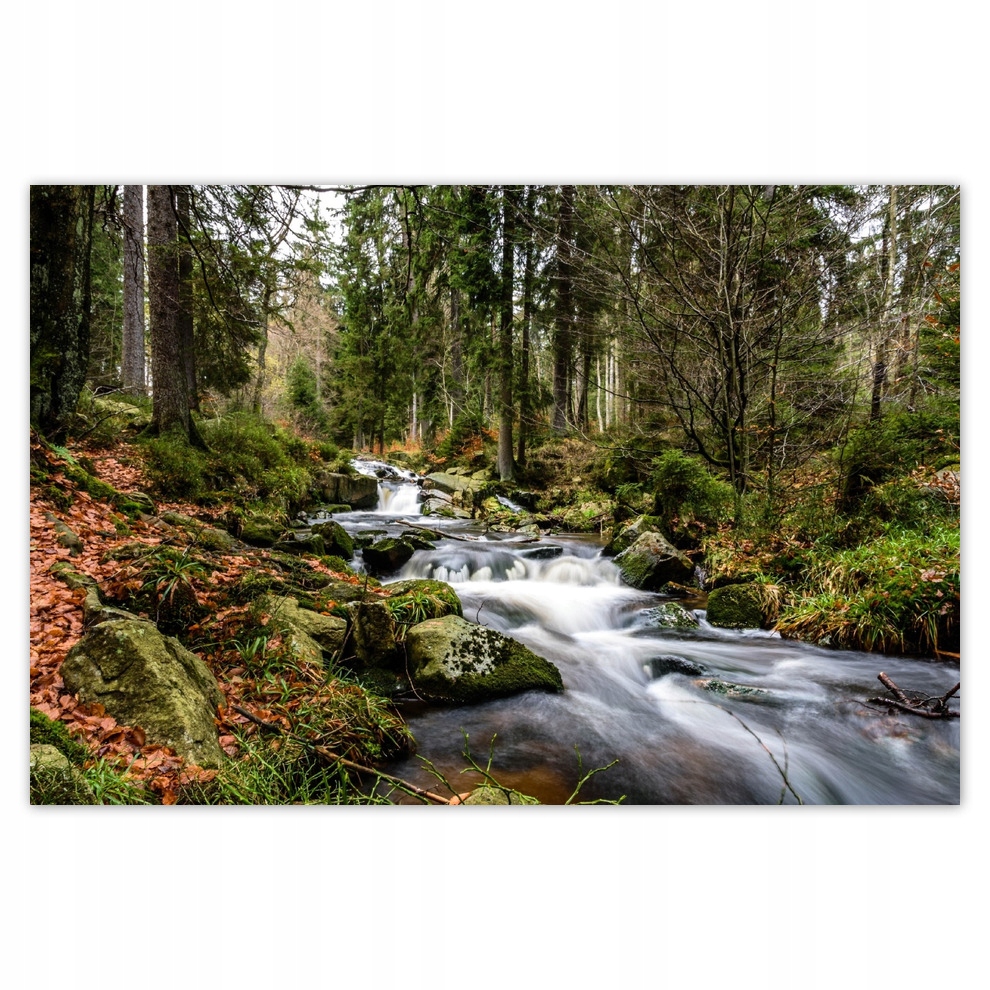 

Plakaty 93x62 Pejzaż Krajobraz