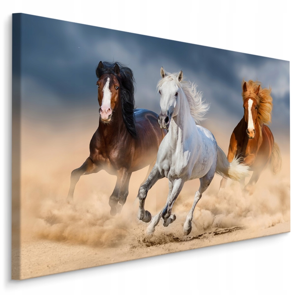 

Obraz Ścienny Konie w Galopie Pustynia 3D 100x70
