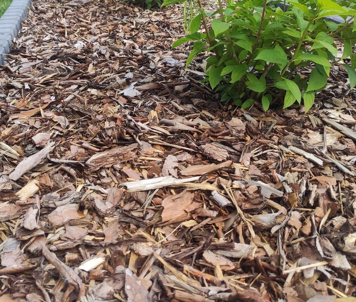 KORA SOSNOWA OGRODOWA 80L PALETA 36 sztuk EAN (GTIN) 9051943685428