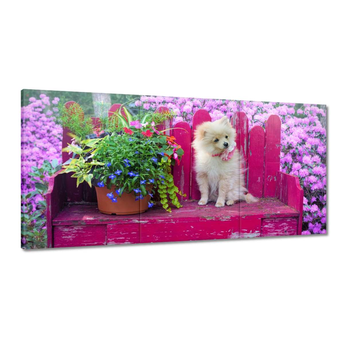 Obrazy 180x90 Pes Psík