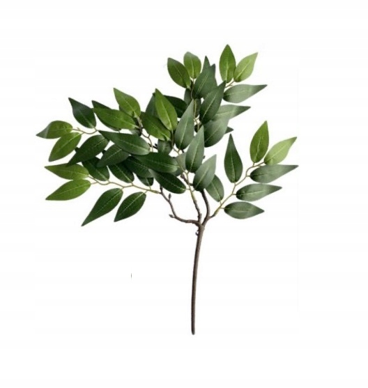 

Duża Gałązka dekoracyjna Eukaliptus 44 cm Komunia