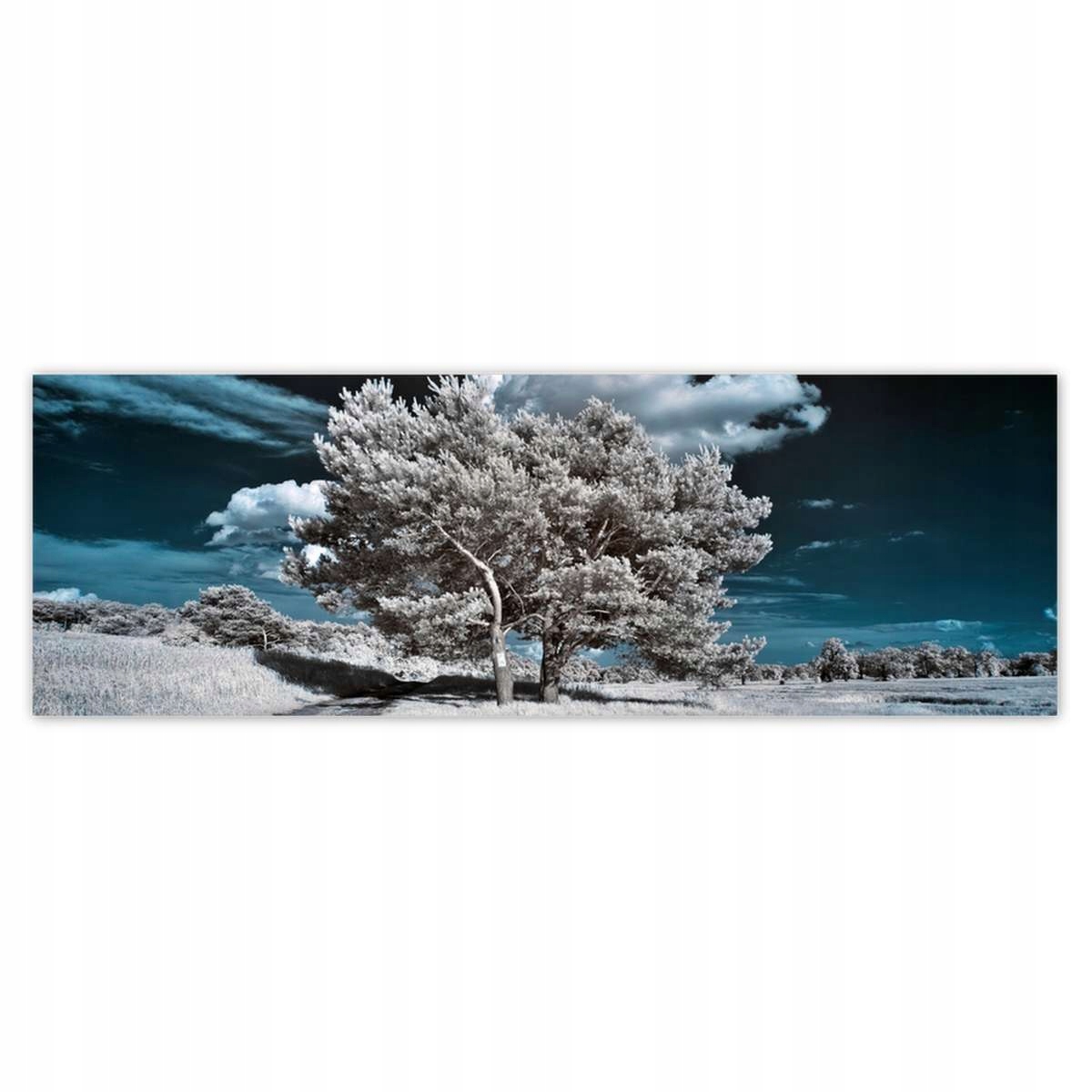 Fototapety 312x104 Majestátny strom
