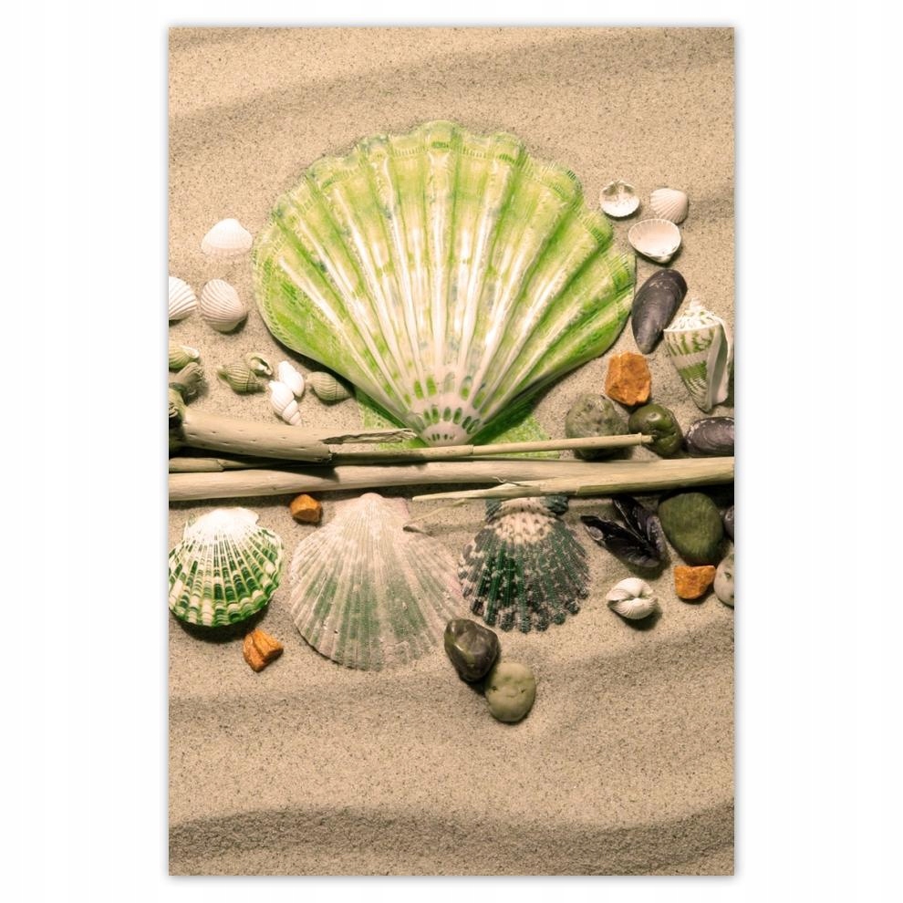 

Plakaty 40x60 Limonkowa muszelka Bałtyk