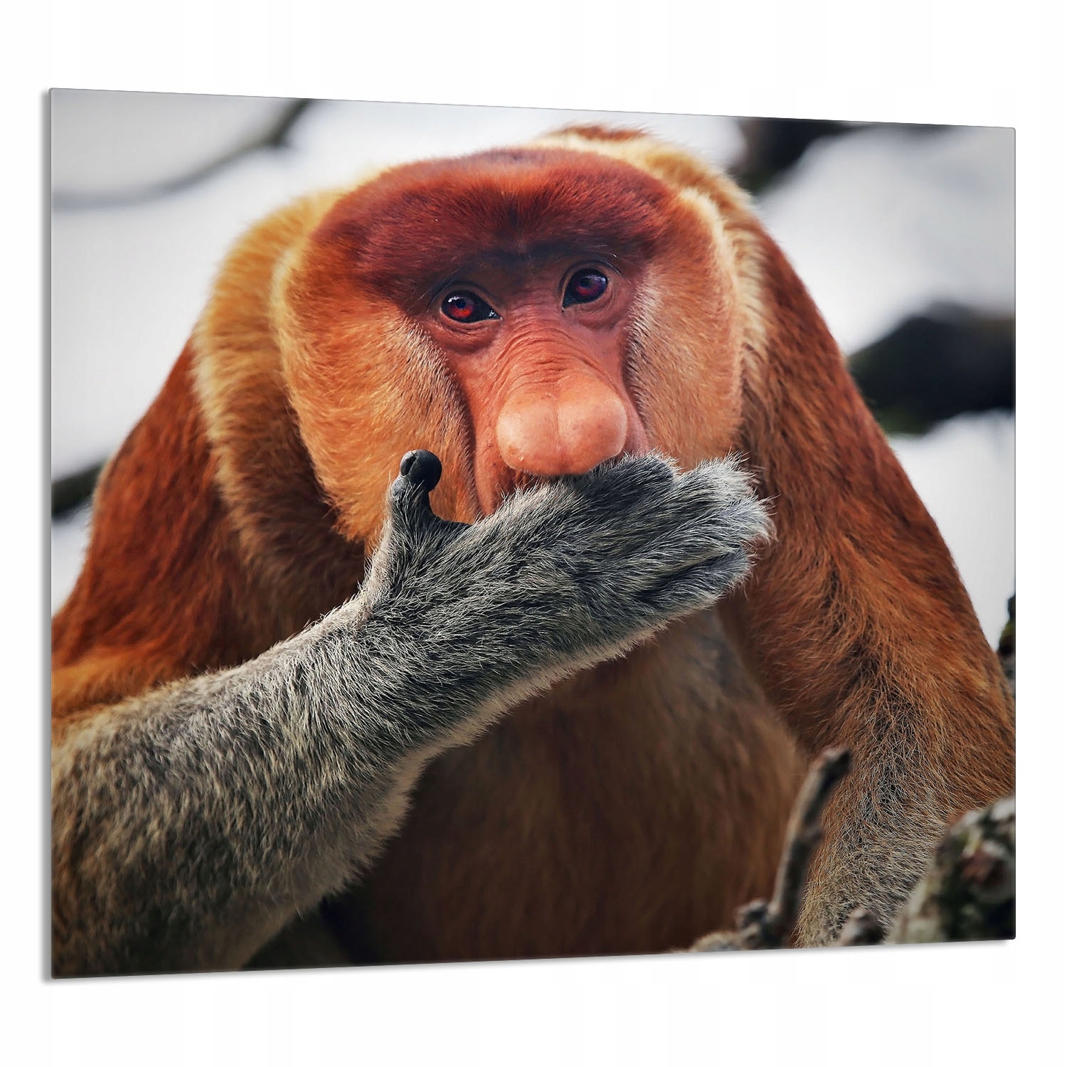 Skleněný Panel Do Kuchyně 65x60 Nosítko Tvrzené Sklo