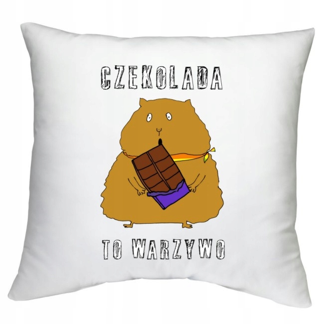 PODUSZKA PIZZA CZEKOLADA PIEROGI CIACHO DŹEM WZORY