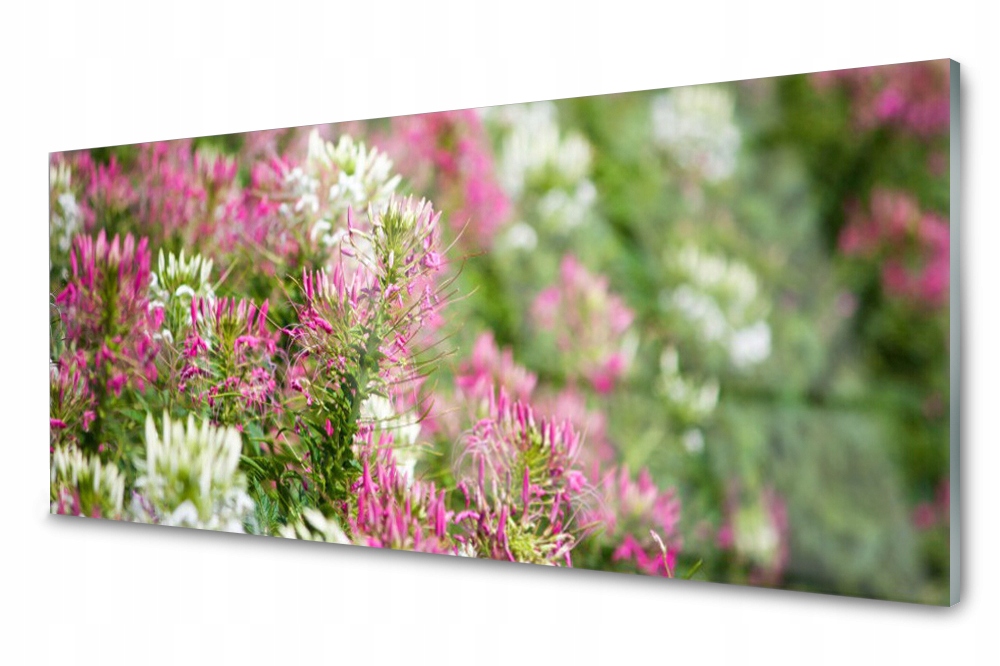 Sklenený panel do kuchyne Poľné kvety Lúka 125x50