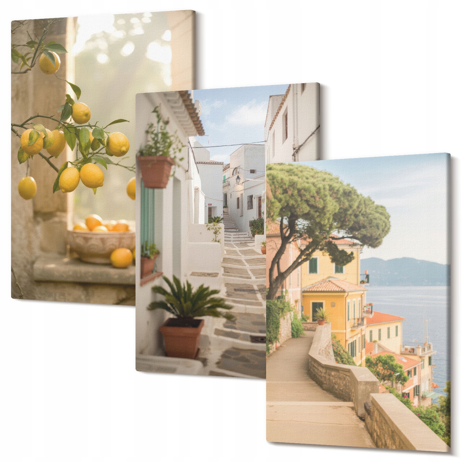 Triptych na plátně do obývacího pokoje Citrusové dřevo výhled na okno 60x40 cm