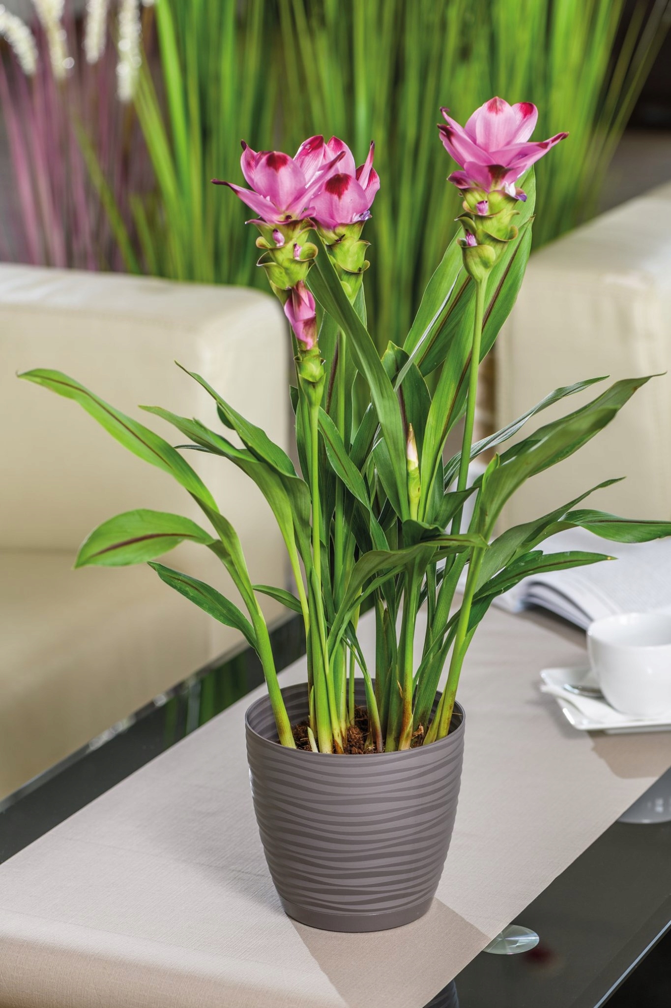 DONICZKA Z PODSTAWKĄ SAHARA śr. 13CM BIAŁY MAT Form-plastic Wysokość produktu 11.8 cm