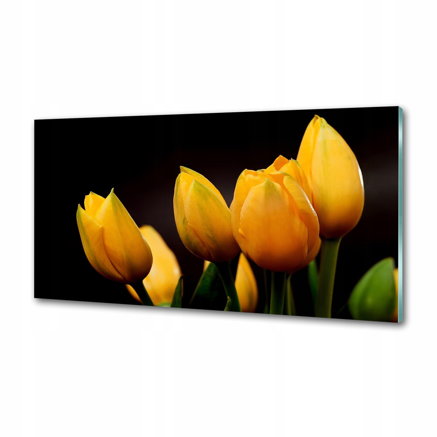 Panel do kuchyne Žlté tulipány 120 x 60 cm Lepidlo