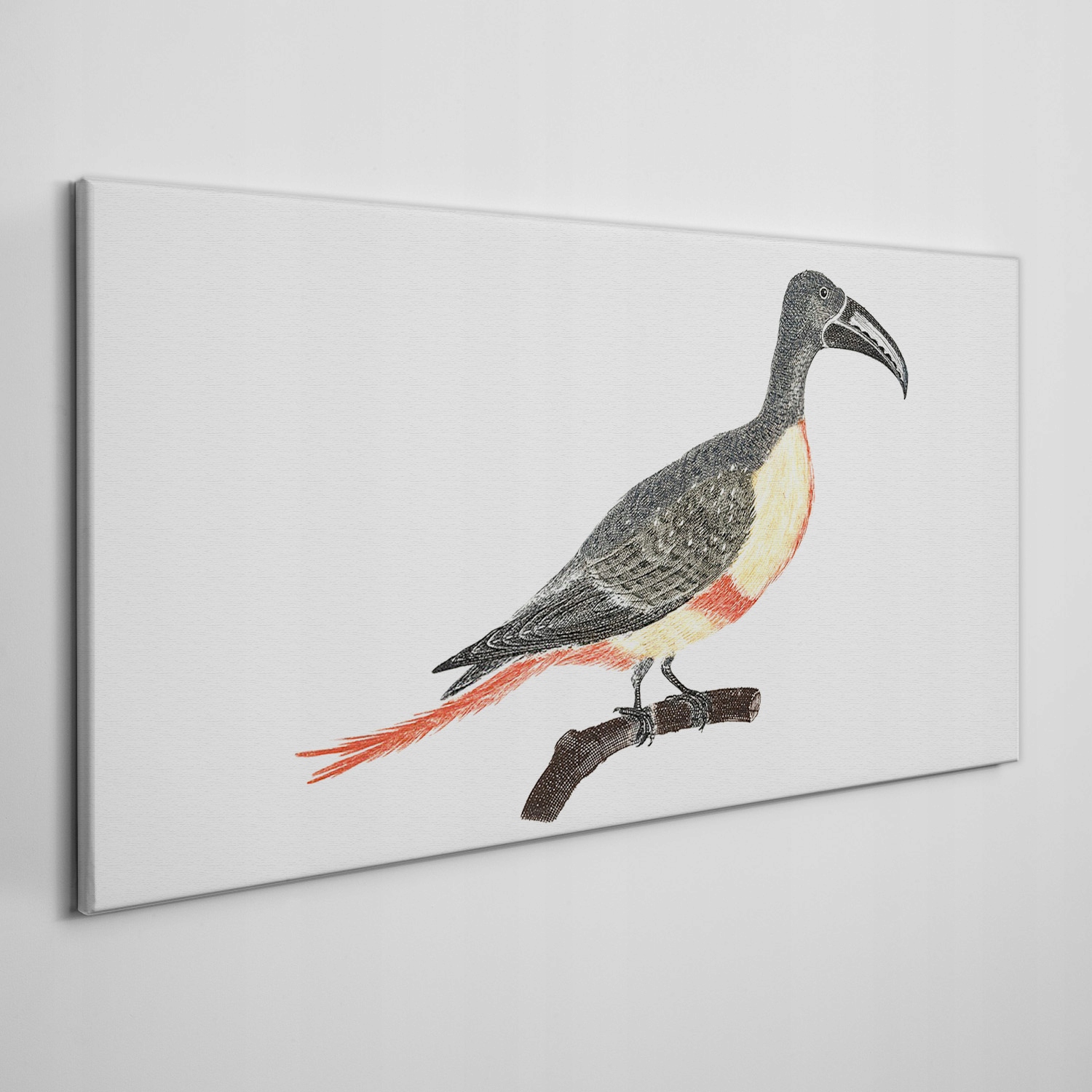 

Obraz na ramie płótno Zwierzę ptak gałąź 100x50 cm