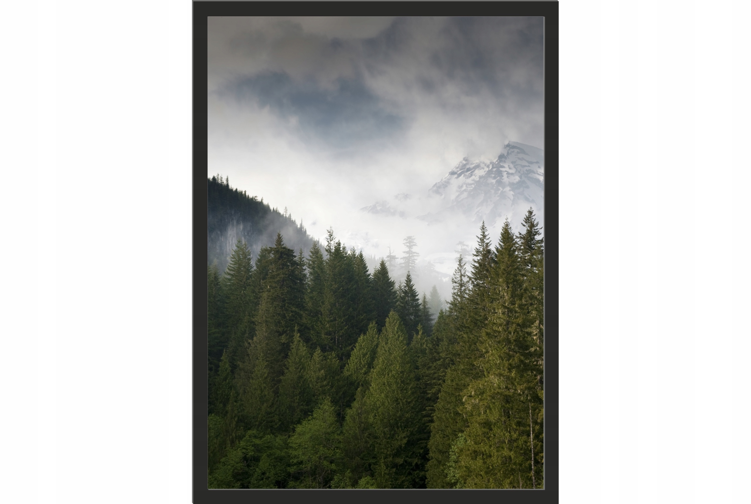 

Obraz plakat 70x50 góry las we mgle natura drzewa