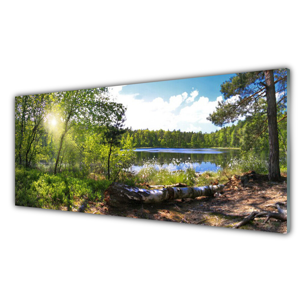 

Fotoobraz akryl 125x50 Las Drzewa Jezioro Przyroda