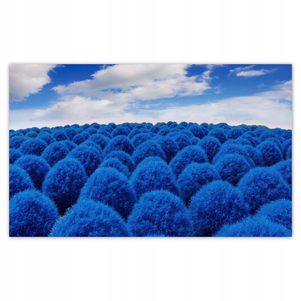 

Fototapety flizelina 520x318 Classic Blue