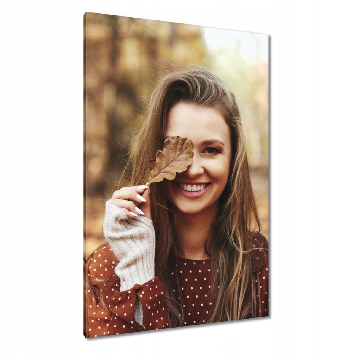 Obrazy 80x120 Podzimní listy Podzim