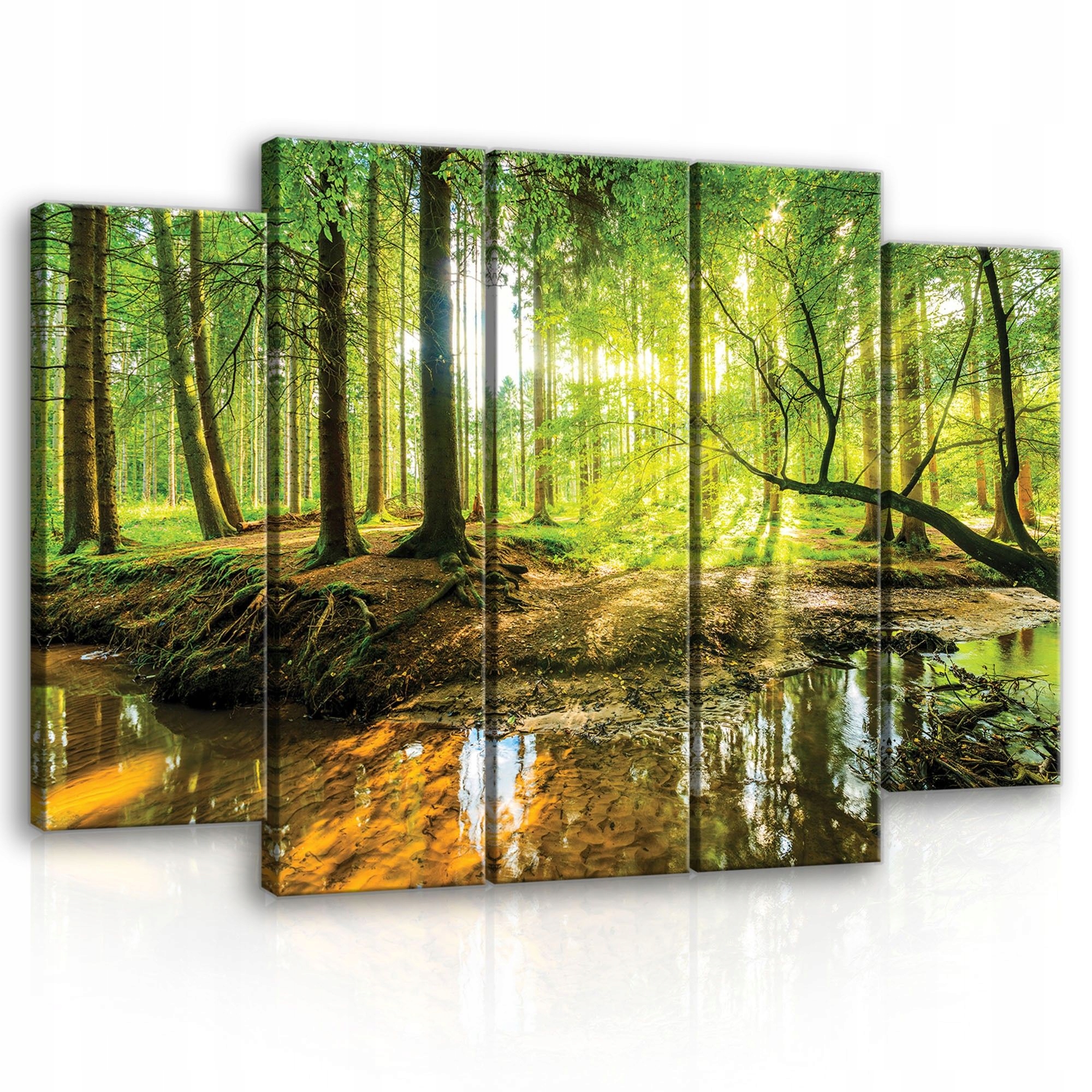 Obraz 150x100 Lesný prúd slnečné lúče príroda zelená pokoj harmónia