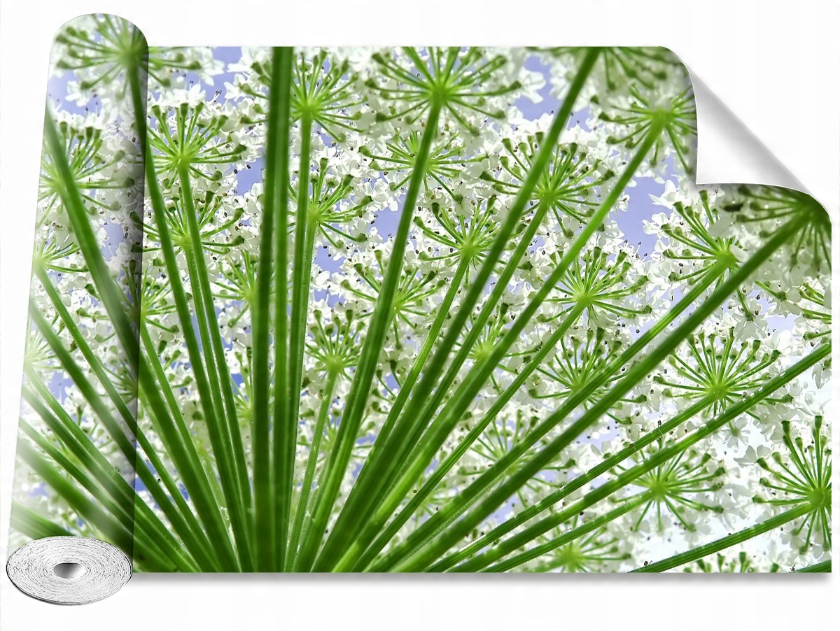 

Tapeta Samoprzylepna MagicStick Barszcz 208x146