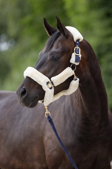 KANTAR DLA KONIA SUPERSOFT BIAŁY COB COVALLIERO