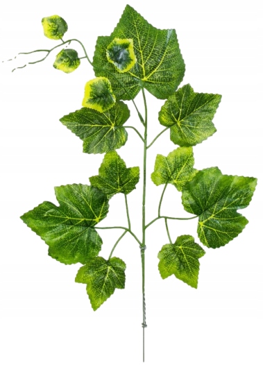 

Liść Winogrona Winogrono Gałązka Zielona 55 CM