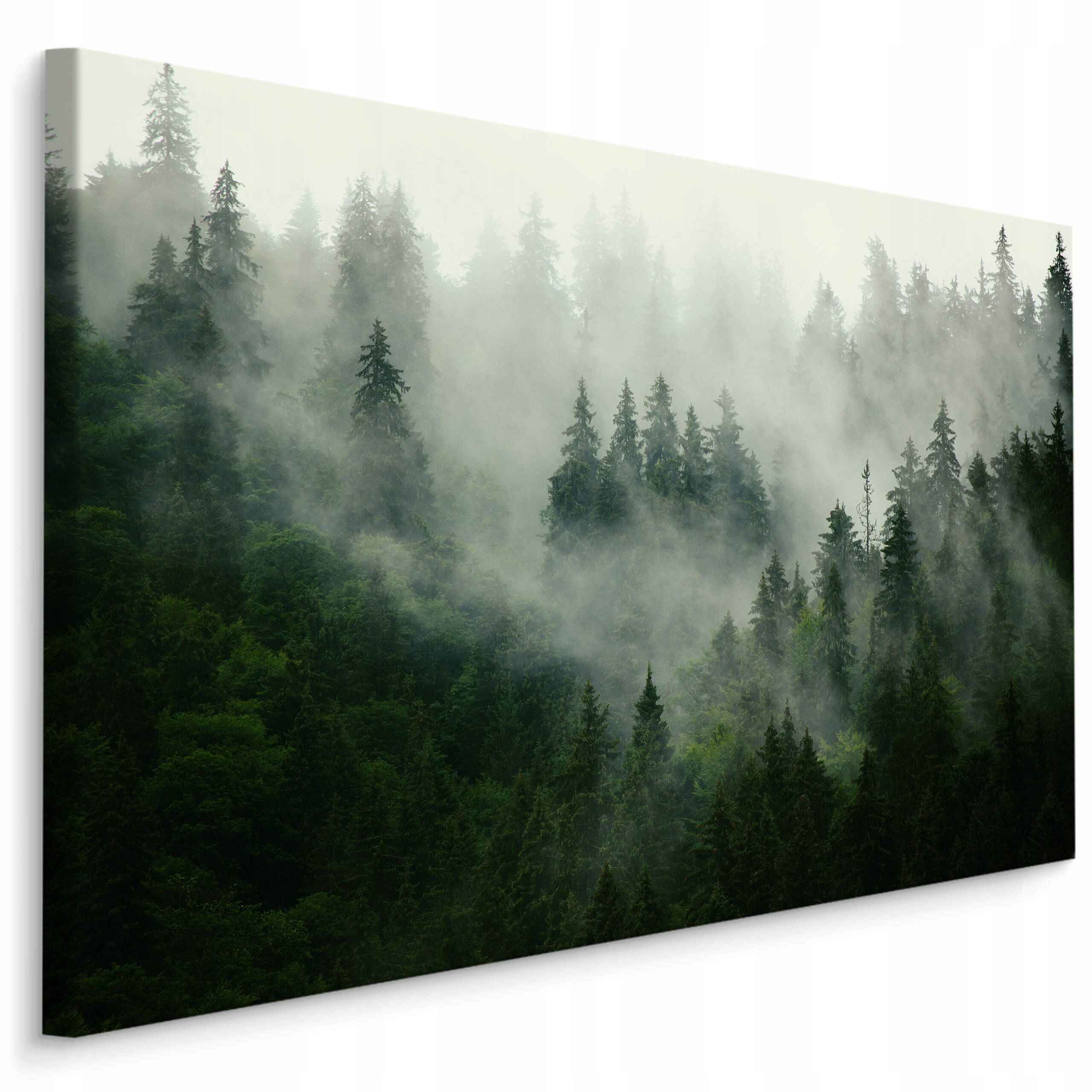 

Obraz Canvas Las We Mgle Krajobraz Natura 120x80