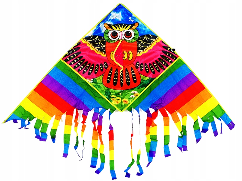 КАЙТ ТРЕУГОЛЬНИК РАДУЖНАЯ СОВА С КИСТОЧКАМИ 106x88