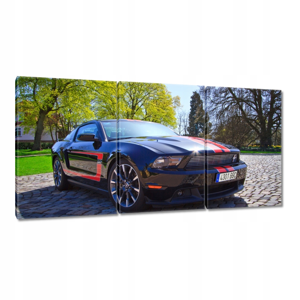 

Obrazy 240x120 Ford Mustang z paskami